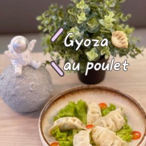 Gyoza au poulet